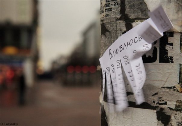 №155, Виктория Абрамова, 35 лет, Липецк №155, Виктория Абрамова, 35 лет, Липецк