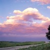Аватар: Амирхан Рабаданов