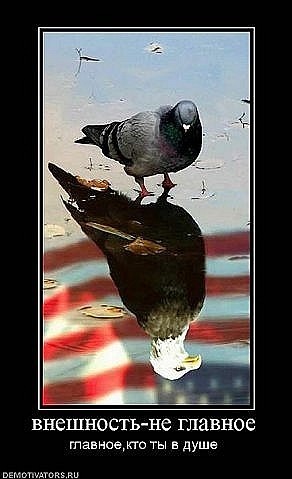 Юрій Здоровець фото профиля #3