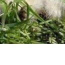 №64, Галина Павлова, Константиновка №64, Галина Павлова, Константиновка