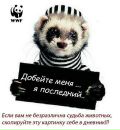 Фотография Сергей Пауков