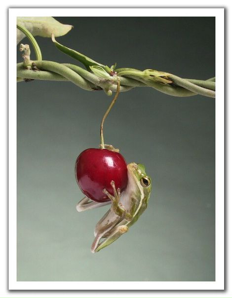 №37, Макс Каравай, 36 лет, Одесса №37, Макс Каравай, 36 лет, Одесса