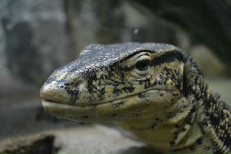 Валерий Медведский | Санкт-Петербург