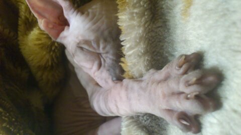 Мари Bullet | Ивантеевка