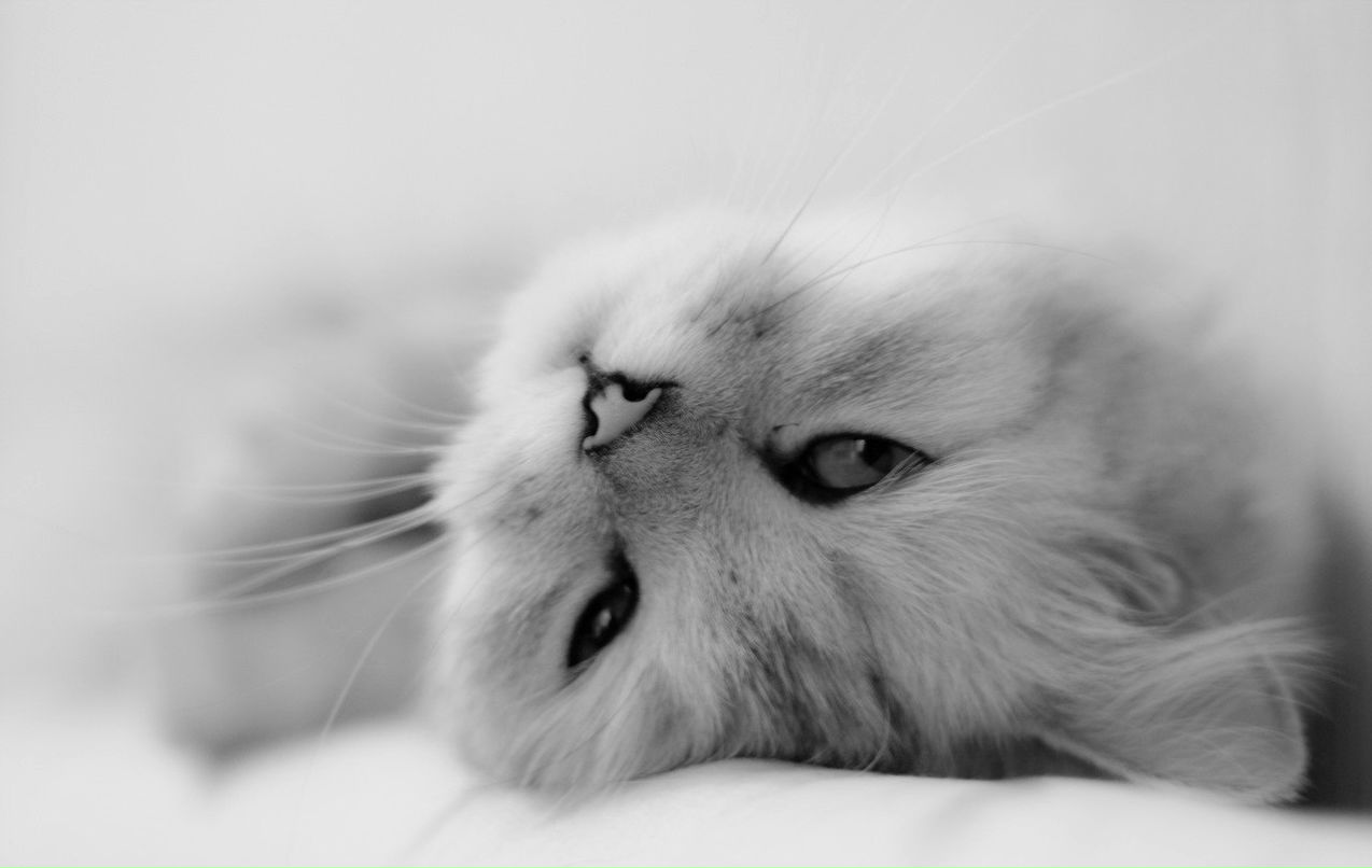 Ольга Ольгина | Обнинск