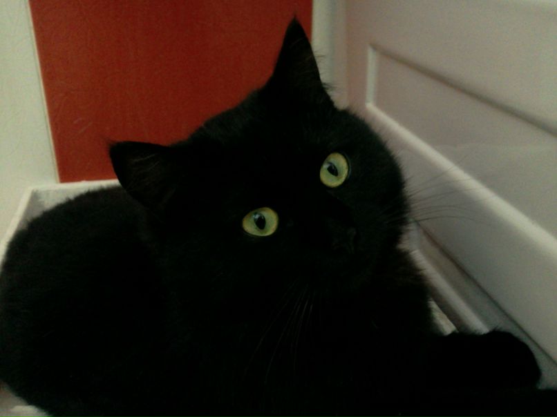 Марина Ульянова | Кременчуг