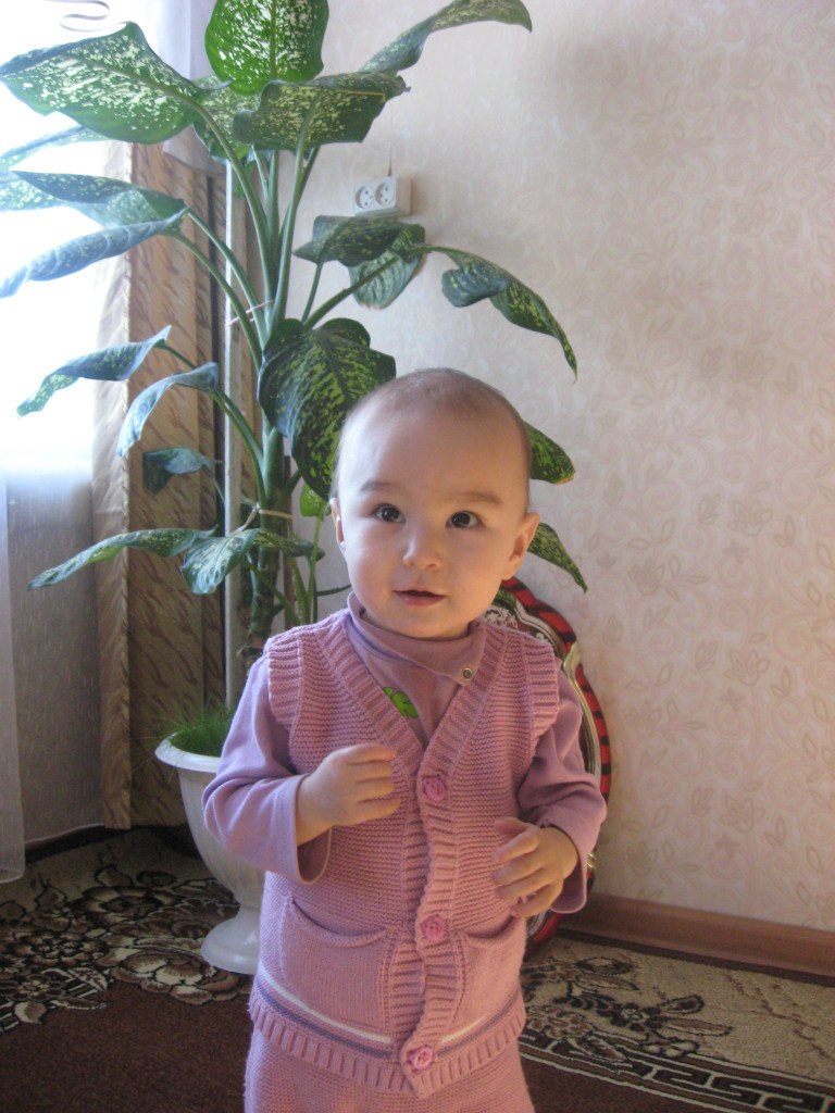 Зиля Кашапова | Чебенли