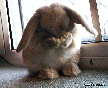 Aleksandra А-Мне-Фивалетово | Минск