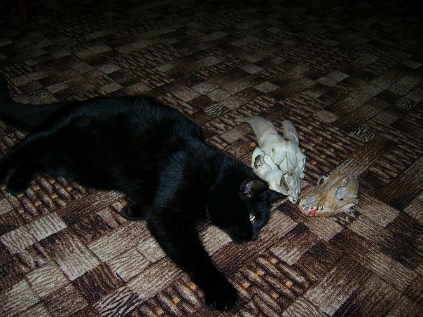 Мила Милая ~Я оДнА ТаКаЯ~ | Казань