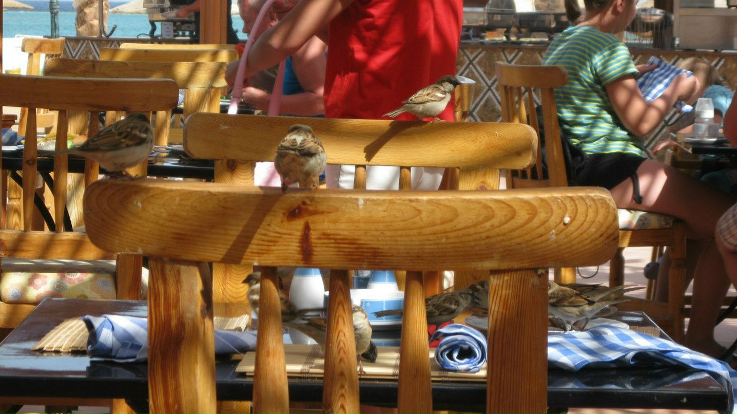 Алёна Рааг | Самара