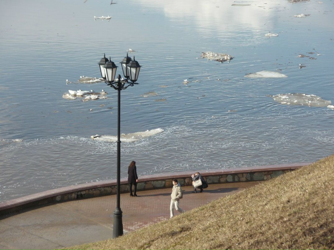 Анатолий Зуев | Санкт-Петербург