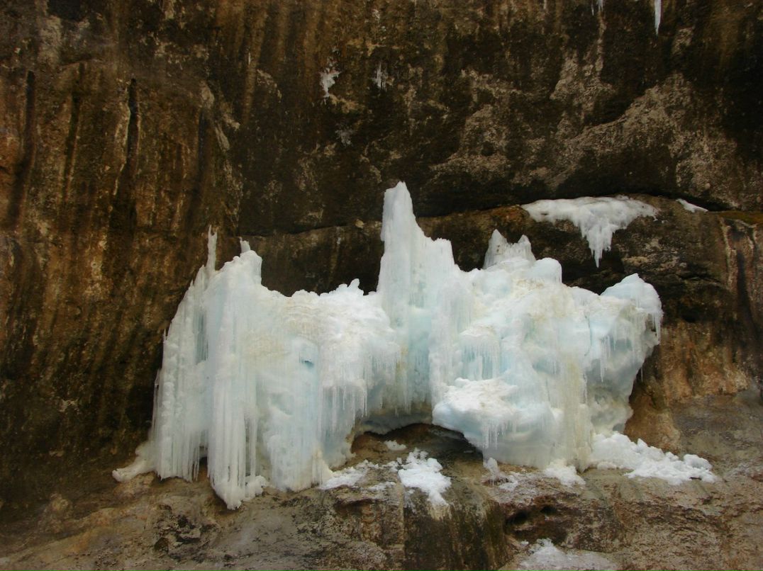 Ольга Фрей | Москва