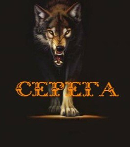 Сергей Шаталов | Тольятти