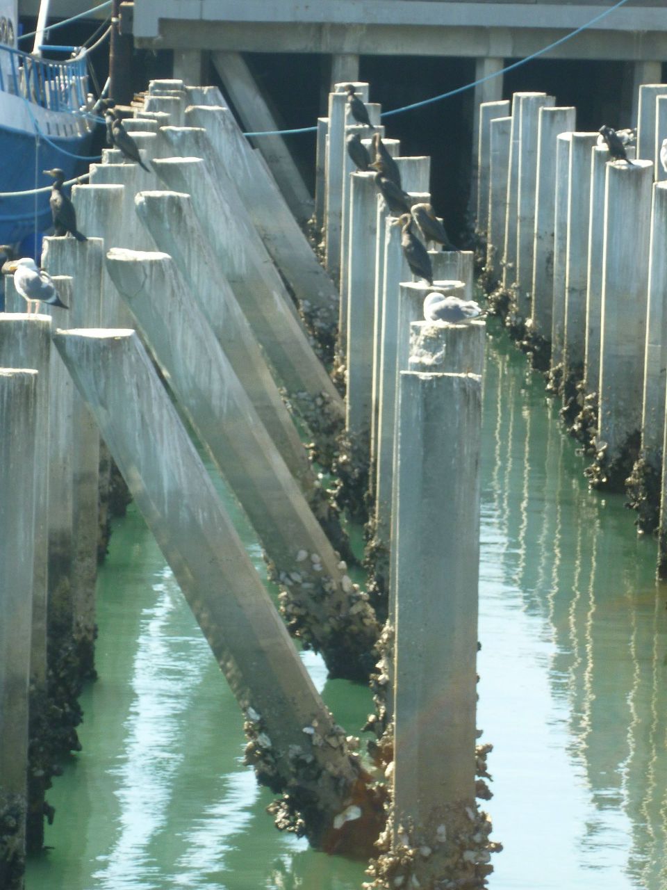 Инга Четырко | Санкт-Петербург