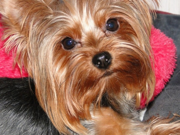 №123, Екатерина Гресева, 38 лет, Санкт-Петербург №123, Екатерина Гресева, 38 лет, Санкт-Петербург