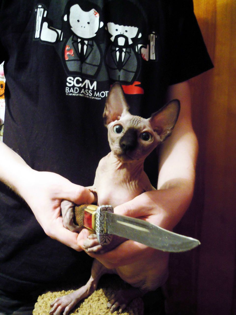 Siam Black | Новосибирск