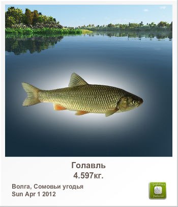 Владимир Литвин Владимирович | Днепр (Днепропетровск)