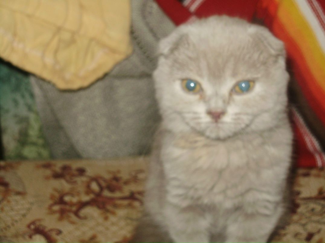 Наталья Федулаева | 