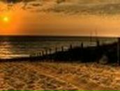 Дмитрий Шагров | Санкт-Петербург