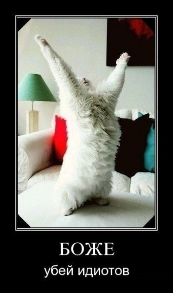 Дима Шишкинский | Киев