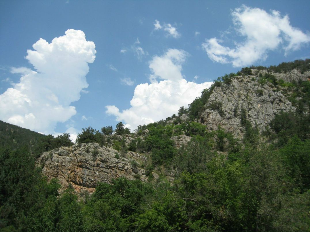 Юлия Морозова | Мариуполь