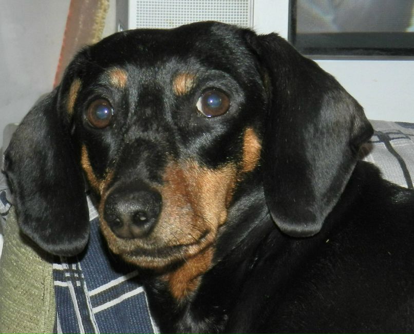 Елена Фирстова | Москва