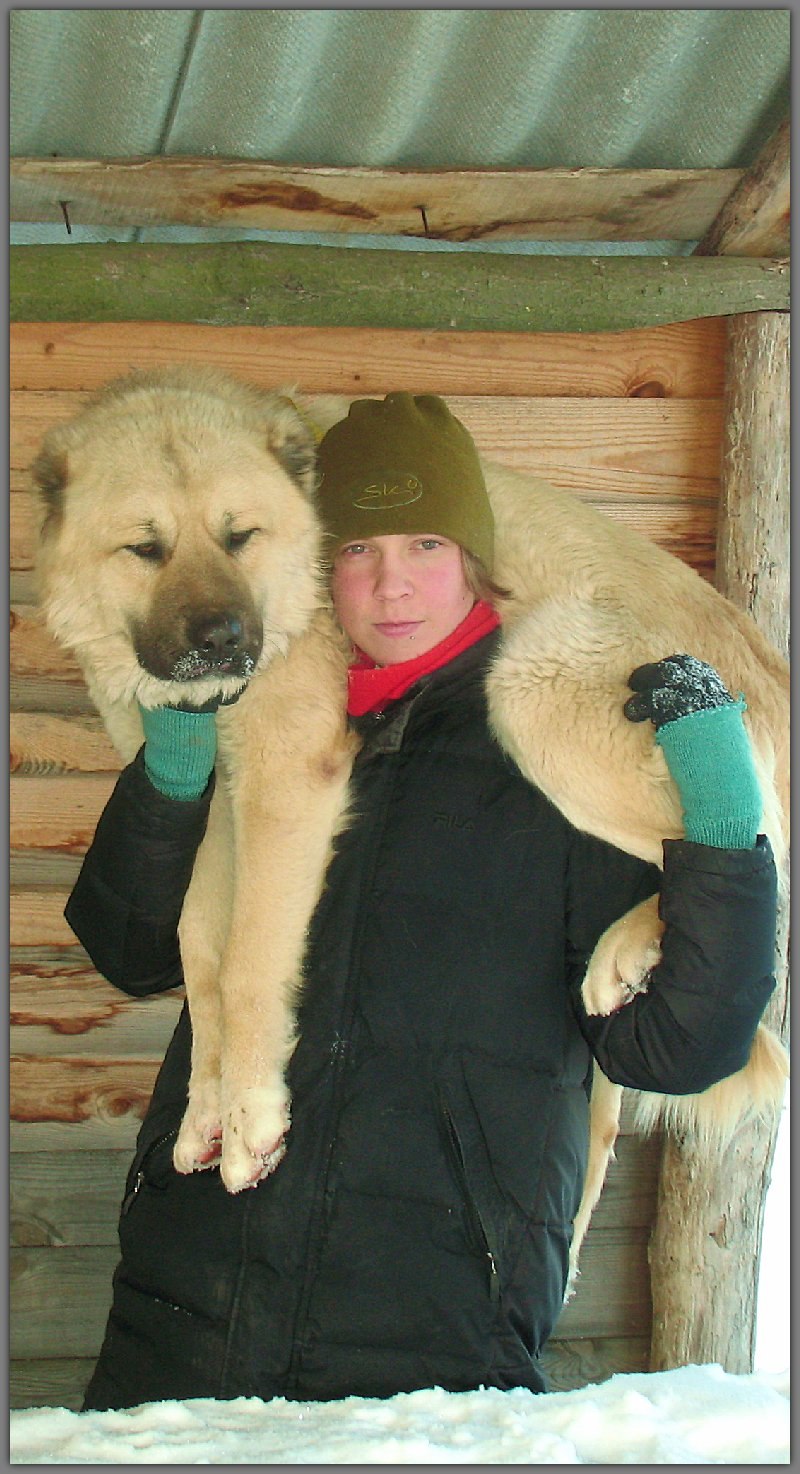 Сергей Ножевников | Киев