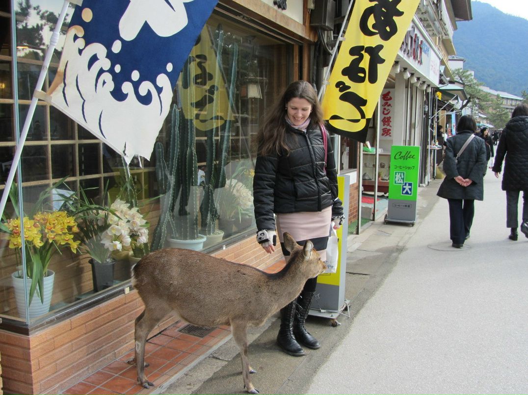 Алеся Верина | 