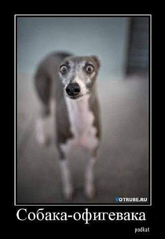 Лера Ратушная | Екатеринбург