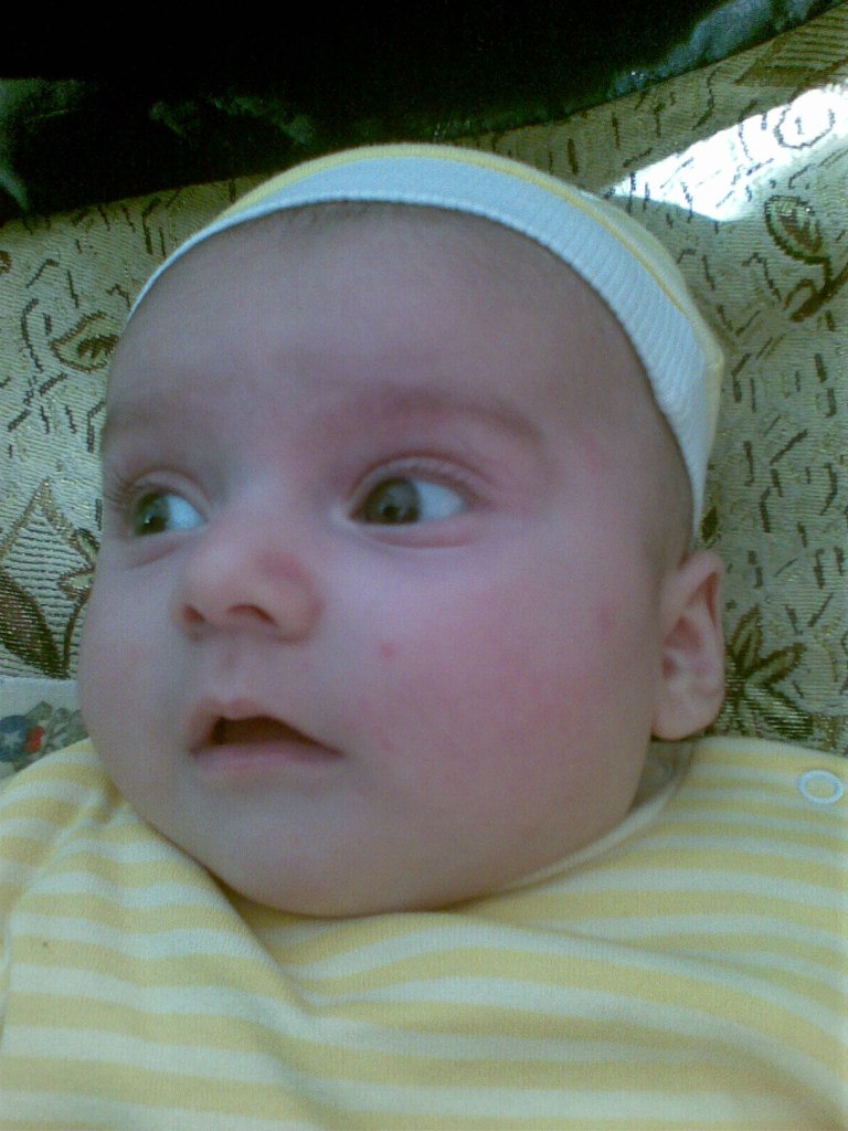 Ружди Чабанов | Симферополь