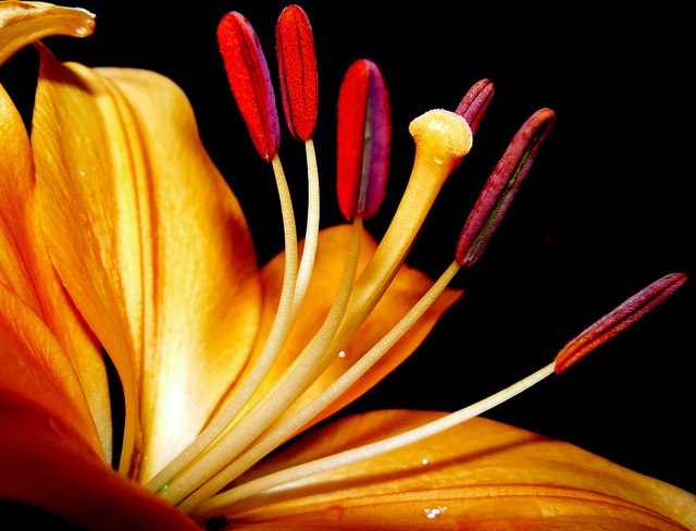 Іра Тихончук | 