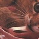 Ирина Баранова | Запорожье