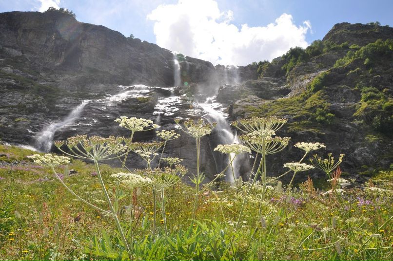 Андрей Пуха [eXtremе] | Полтава