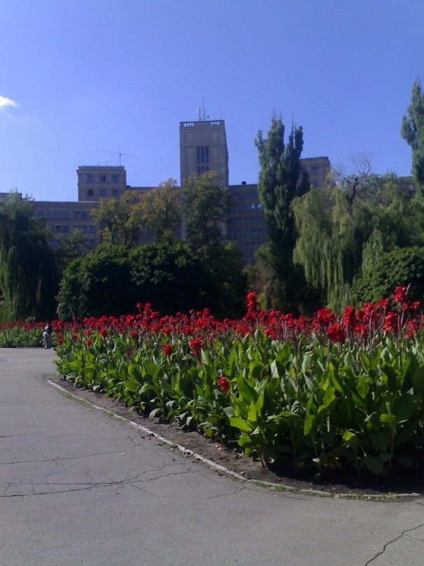 Семен Буряченко | Харьков