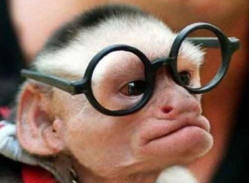 №5, Наира Хачатурян №5, Наира Хачатурян