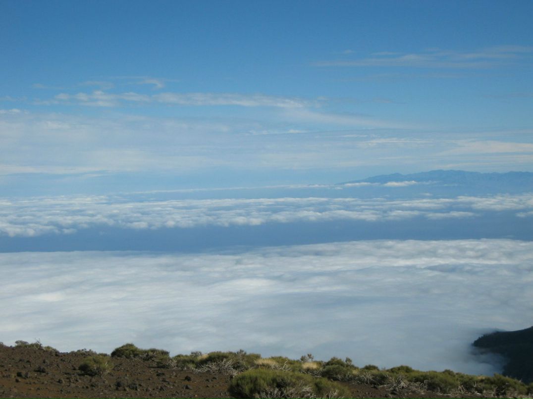 Саша Боговков | Санкт-Петербург