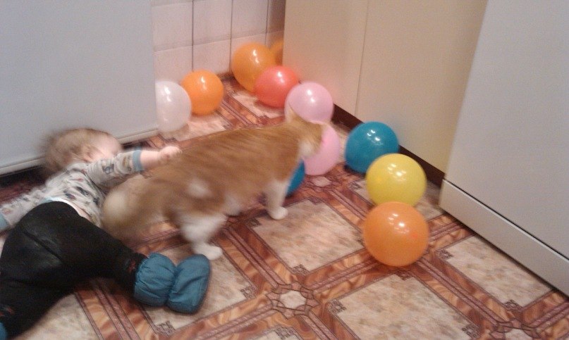 Руслан Дмитриев | Кемь