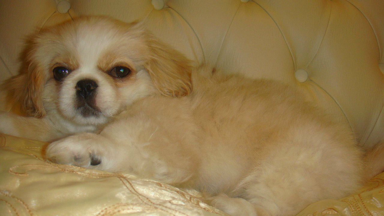 Владимир Соевский | Одесса