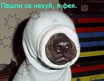 №1, Кирилл Морозов, Санкт-Петербург №1, Кирилл Морозов, Санкт-Петербург