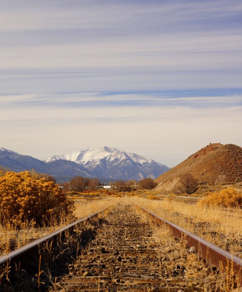 Инна Приходько | 