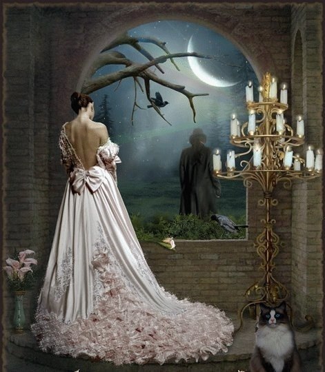 Оксана Ценцеус | Киев