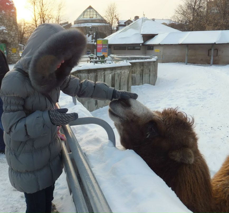 Анна Коматёсова | Санкт-Петербург