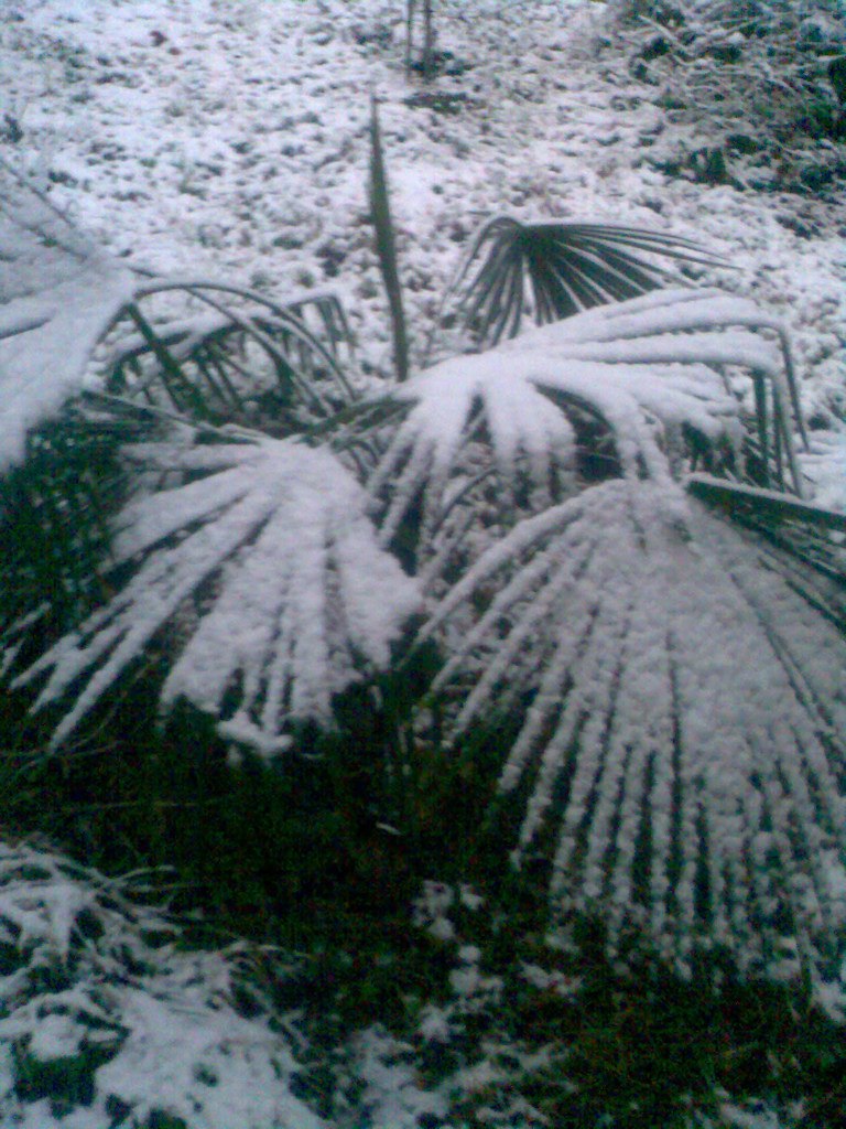 Михаил Яковлев | Сочи