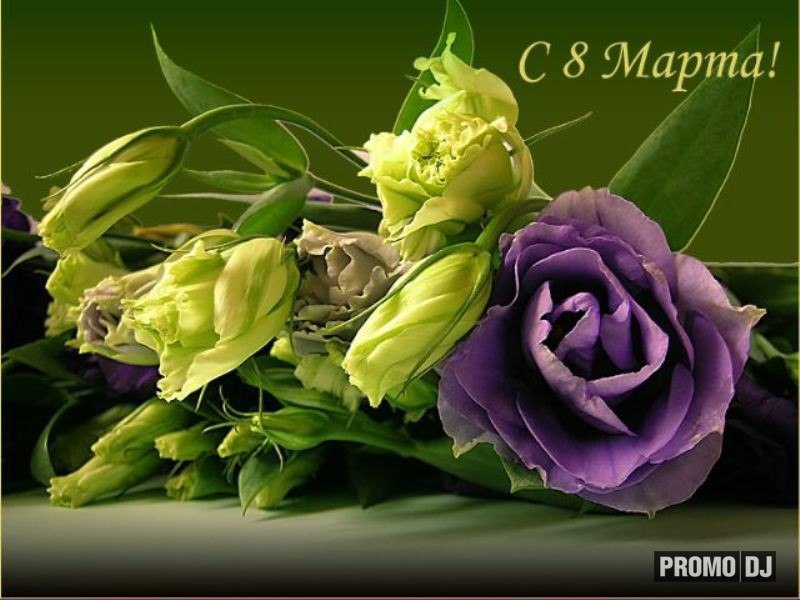 Елена Гидревич | Virrat