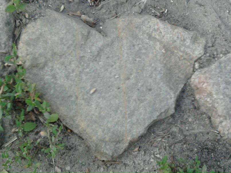 Виктория Бровко | Запорожье