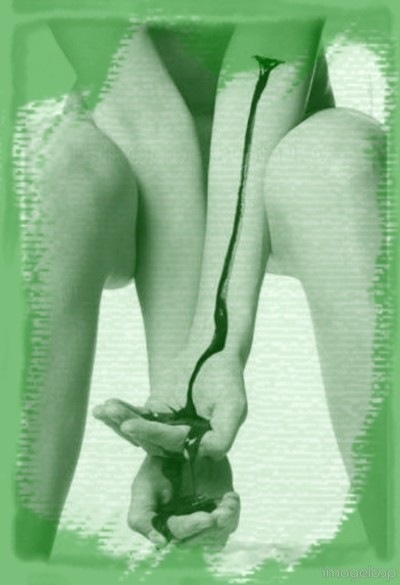 №13, Даша Рогова №13, Даша Рогова