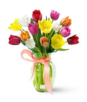 Клим Летов Rastaone | Москва