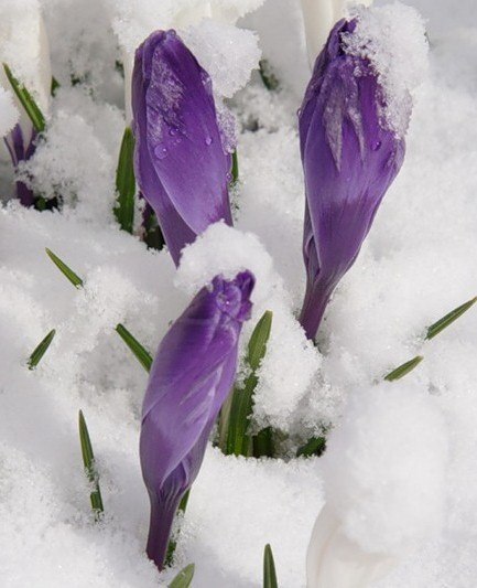 Konstantine Бояринцев | Санкт-Петербург