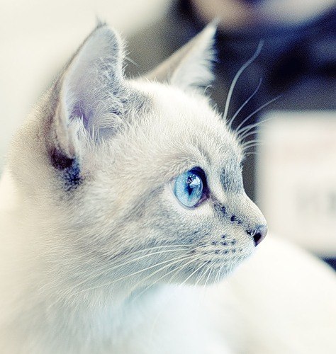 Юлия Гербер Сергеевна | Курган