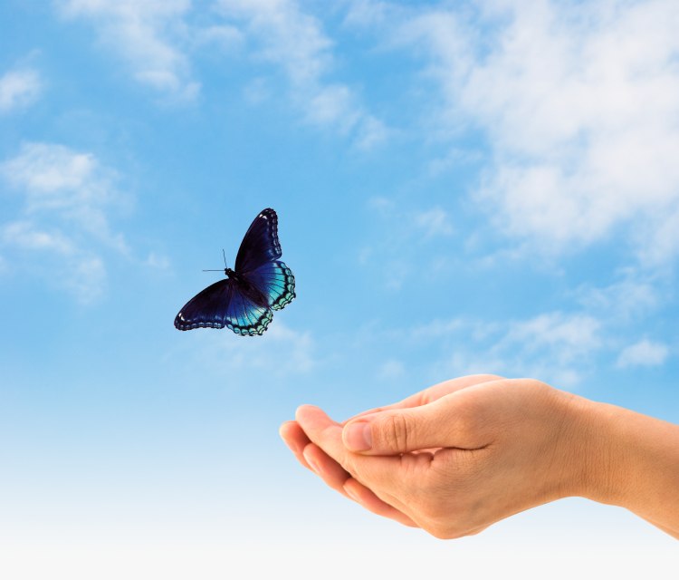 Ольга Борисова | Тюмень